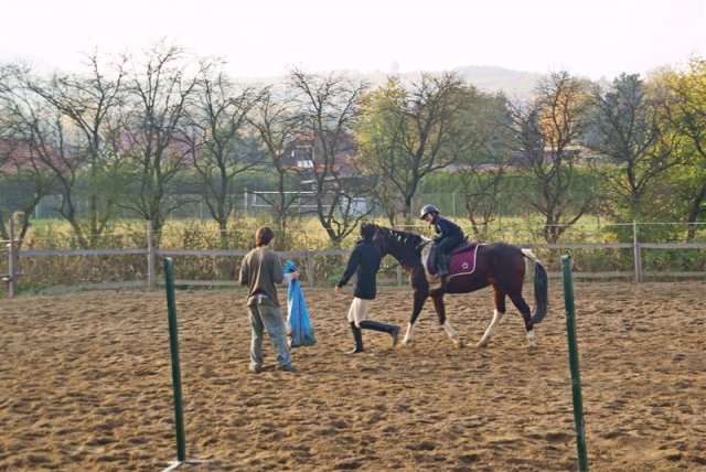 Hubertus 2009